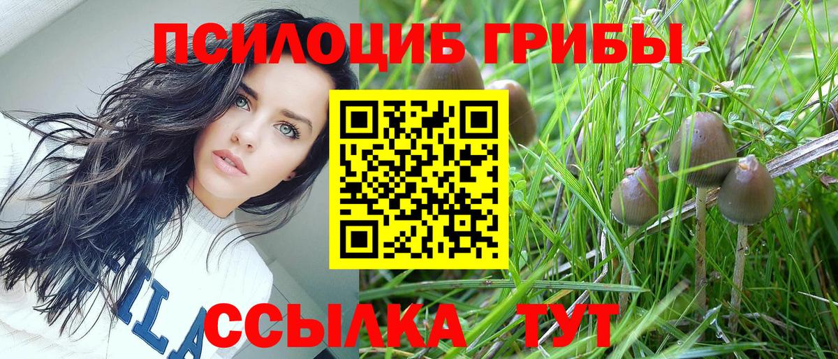 что такое наркотик  Псилоцибиновые грибы мицелий  Псилоцибиновые грибы Magic Shrooms  Вход с VPN  Осинники 