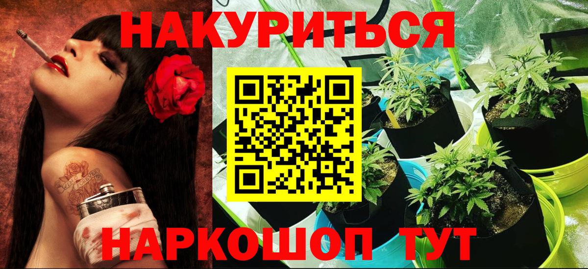 Шишки марихуана семена  Вход с VPN  Осинники  Марихуана THC 21%  Шишки марихуана план  Конопля VHQ 
